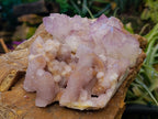 Natural Sunburst Amethyst and Cactus Spirit Quartz Clusters x 2 From South Africa - Toprock Gemstones and Minerals 