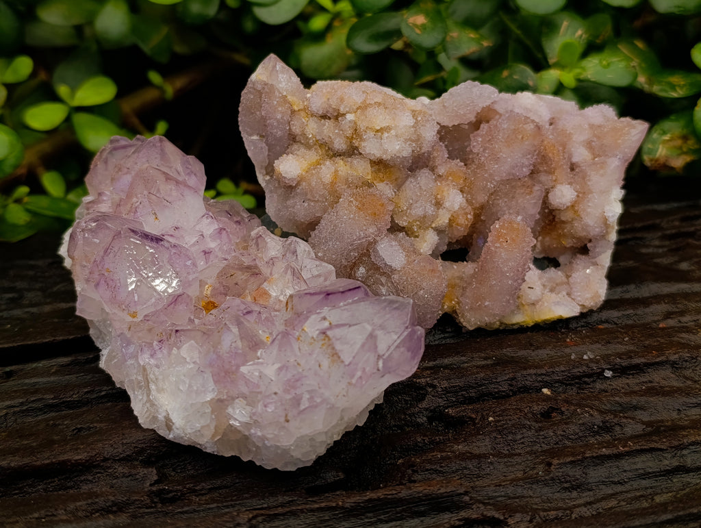 Natural Sunburst Amethyst and Cactus Spirit Quartz Clusters x 2 From South Africa - Toprock Gemstones and Minerals 