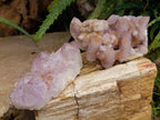 Natural Sunburst Amethyst and Cactus Spirit Quartz Clusters x 2 From South Africa - Toprock Gemstones and Minerals 
