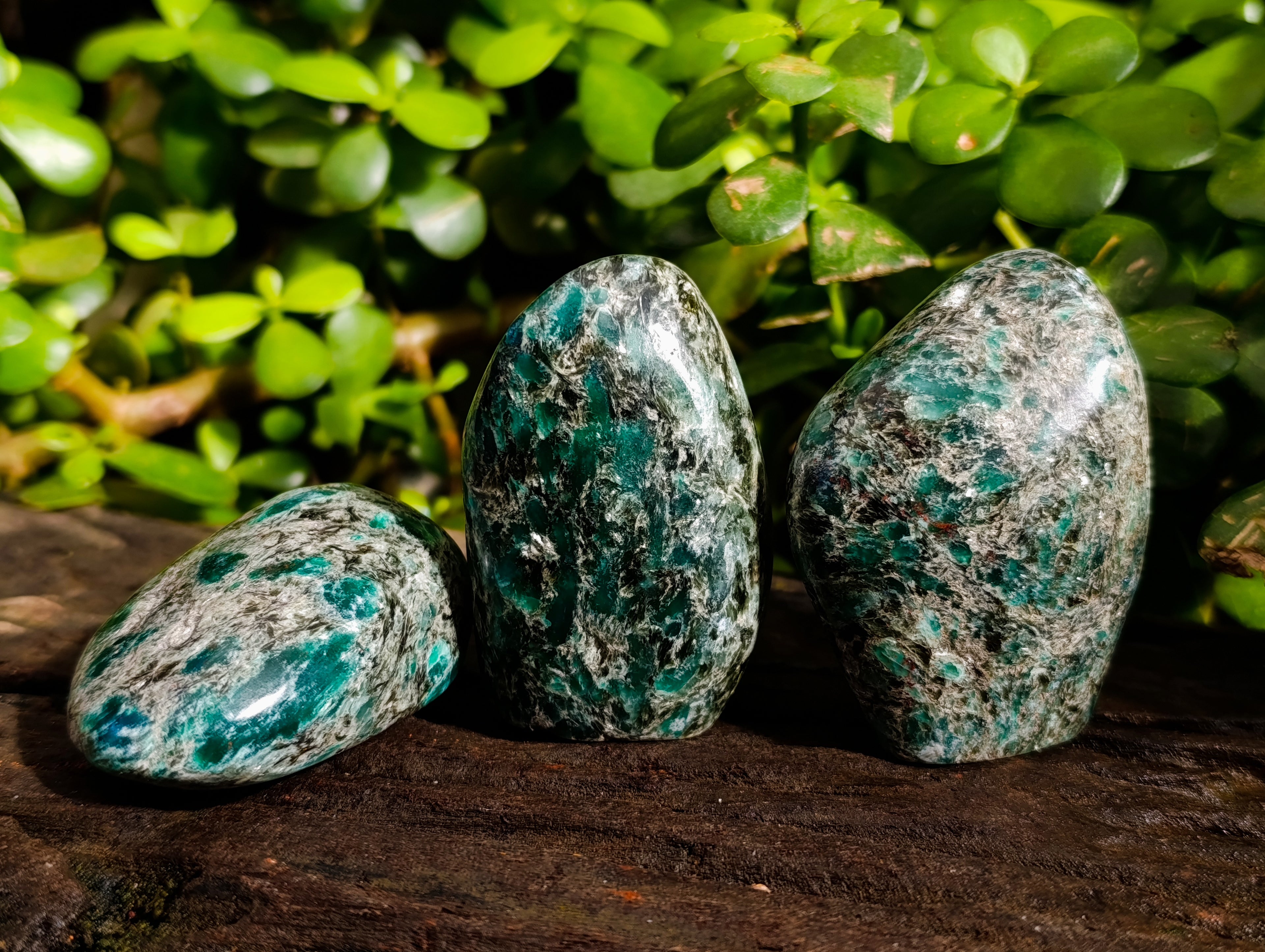 Polished Emerald Mica In Matrix Standing Free Forms x 6 From Mutoko, Zimbabwe - Toprock Gemstones and Minerals 