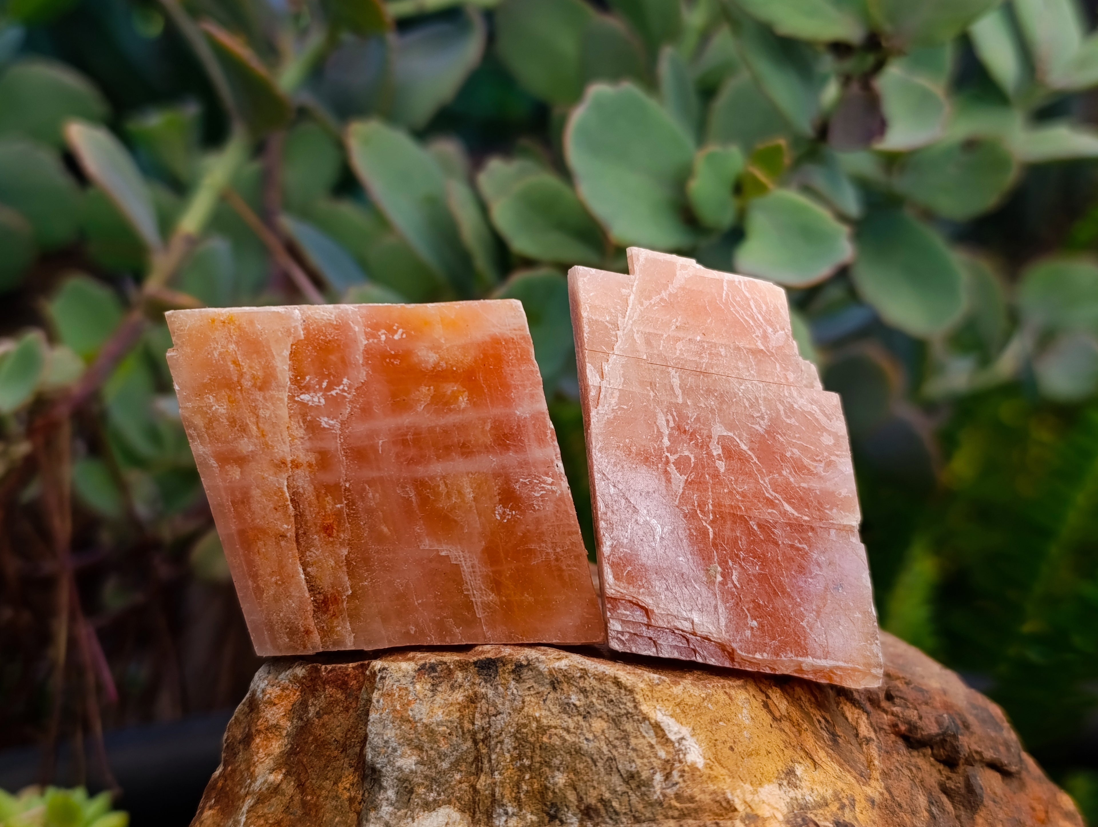 Natural Rhombohedral Sunset Orange Calcite Specimens x 24 From Spitzkop, Namibia - Toprock Gemstones and Minerals 