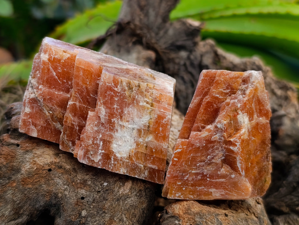 Natural Rhombohedral Sunset Orange Calcite Specimens x 24 From Spitzkop, Namibia - Toprock Gemstones and Minerals 
