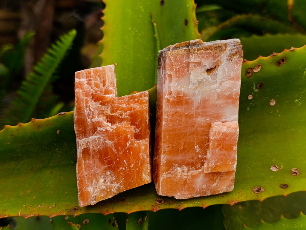 Natural Rhombohedral Sunset Orange Calcite Specimens x 24 From Spitzkop, Namibia - Toprock Gemstones and Minerals 