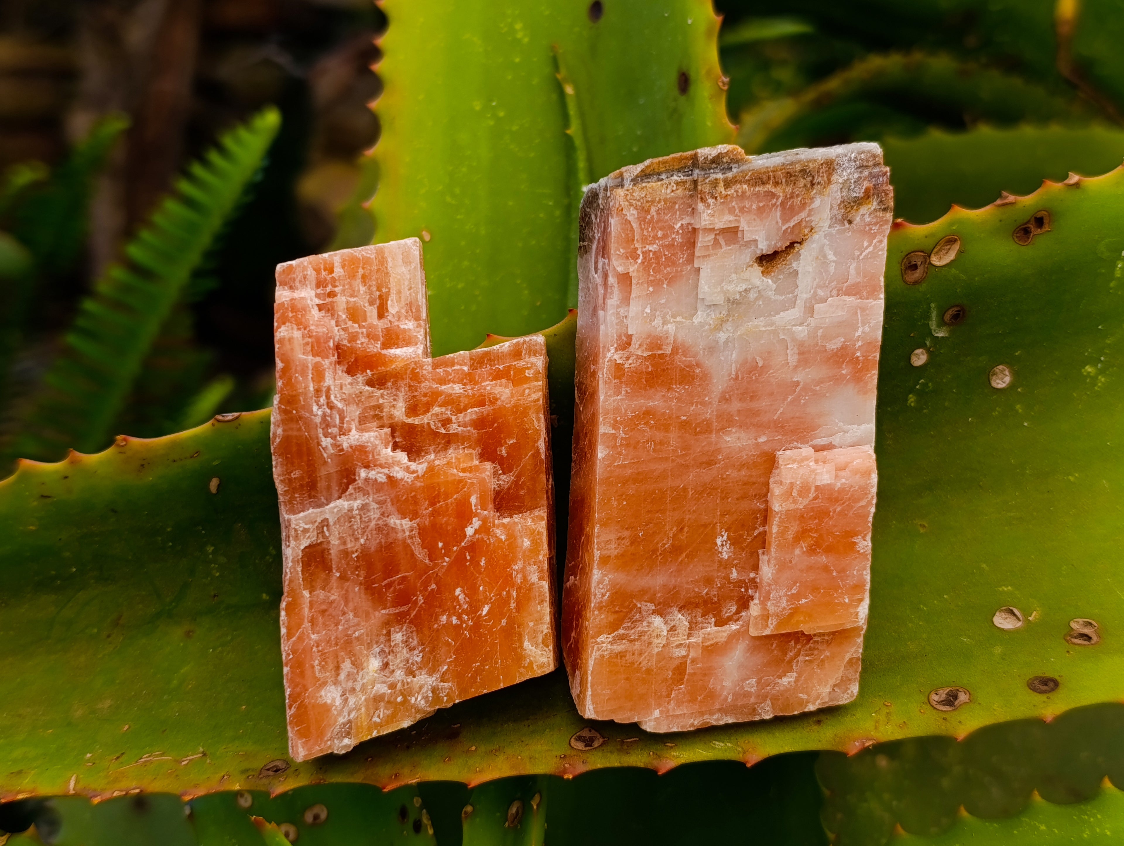 Natural Rhombohedral Sunset Orange Calcite Specimens x 24 From Spitzkop, Namibia - Toprock Gemstones and Minerals 