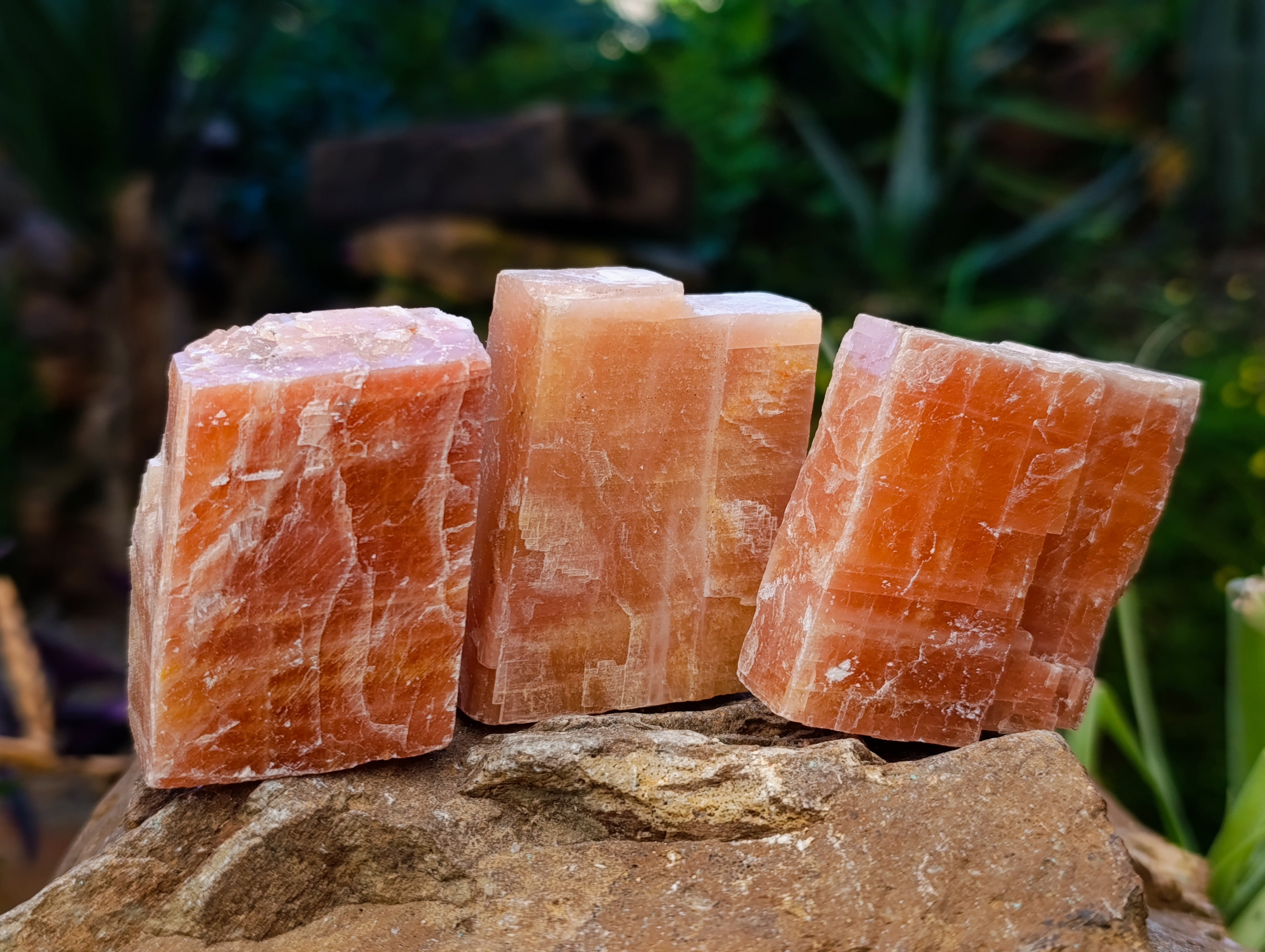 Natural Rhombohedral Sunset Orange Calcite Specimens x 24 From Spitzkop, Namibia - Toprock Gemstones and Minerals 
