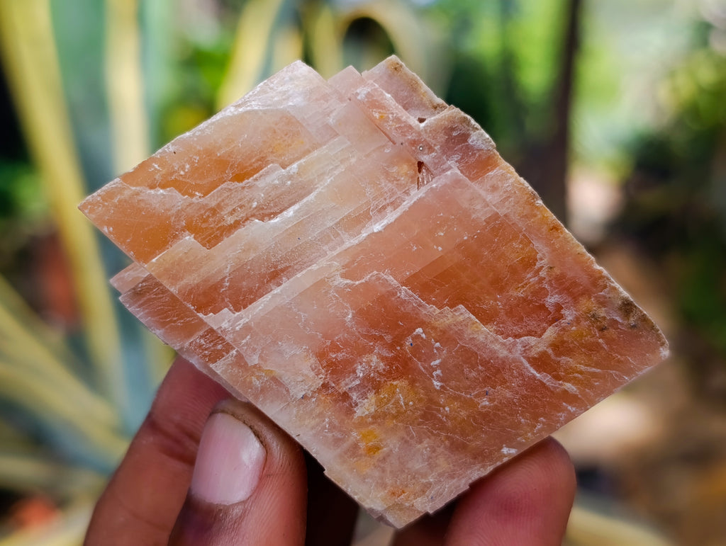 Natural Rhombohedral Sunset Orange Calcite Specimens x 24 From Spitzkop, Namibia - Toprock Gemstones and Minerals 