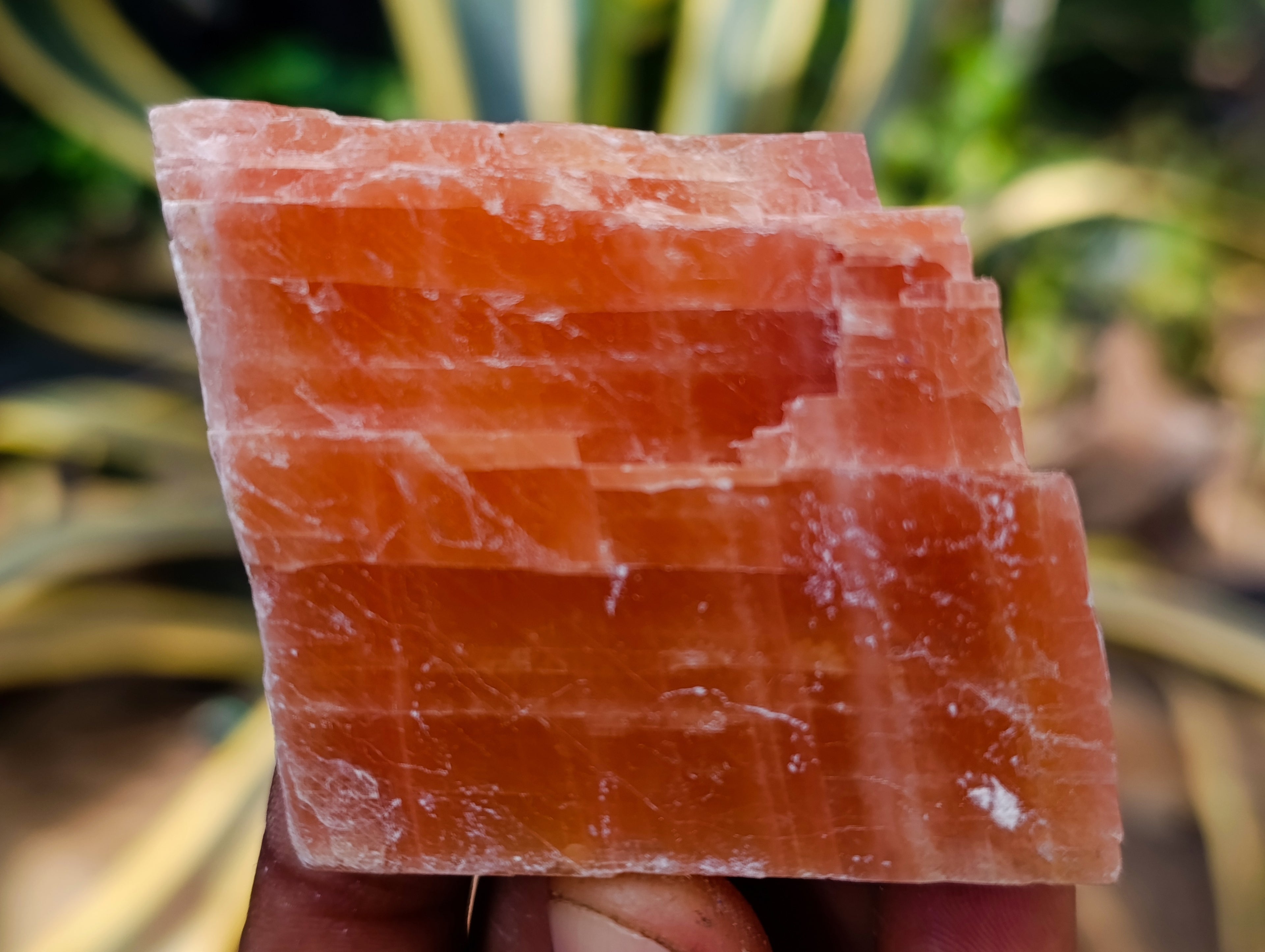 Natural Rhombohedral Sunset Orange Calcite Specimens x 24 From Spitzkop, Namibia - Toprock Gemstones and Minerals 