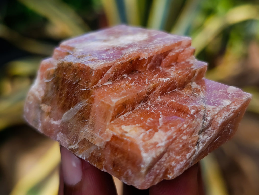 Natural Rhombohedral Sunset Orange Calcite Specimens x 24 From Spitzkop, Namibia - Toprock Gemstones and Minerals 