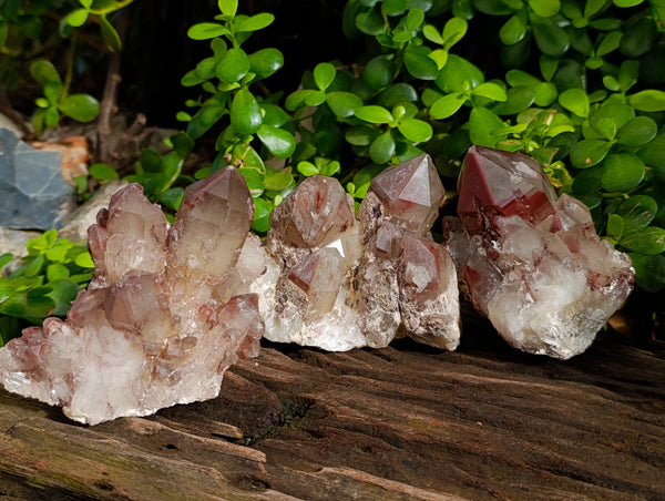 Natural Red Hematoid Quartz Clusters x 3 From Karoi, Zimbabwe