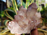 Natural Red Hematoid Quartz Clusters x 3 From Karoi, Zimbabwe