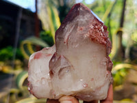 Natural Red Hematoid Quartz Clusters x 3 From Karoi, Zimbabwe