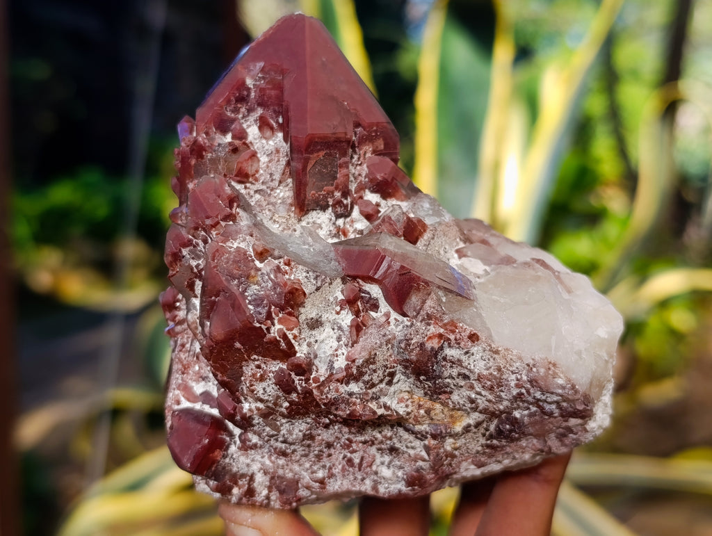 Natural Red Hematoid Quartz Clusters x 3 From Karoi, Zimbabwe - Toprock Gemstones and Minerals 