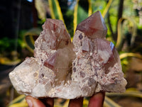 Natural Red Hematoid Quartz Clusters x 3 From Karoi, Zimbabwe