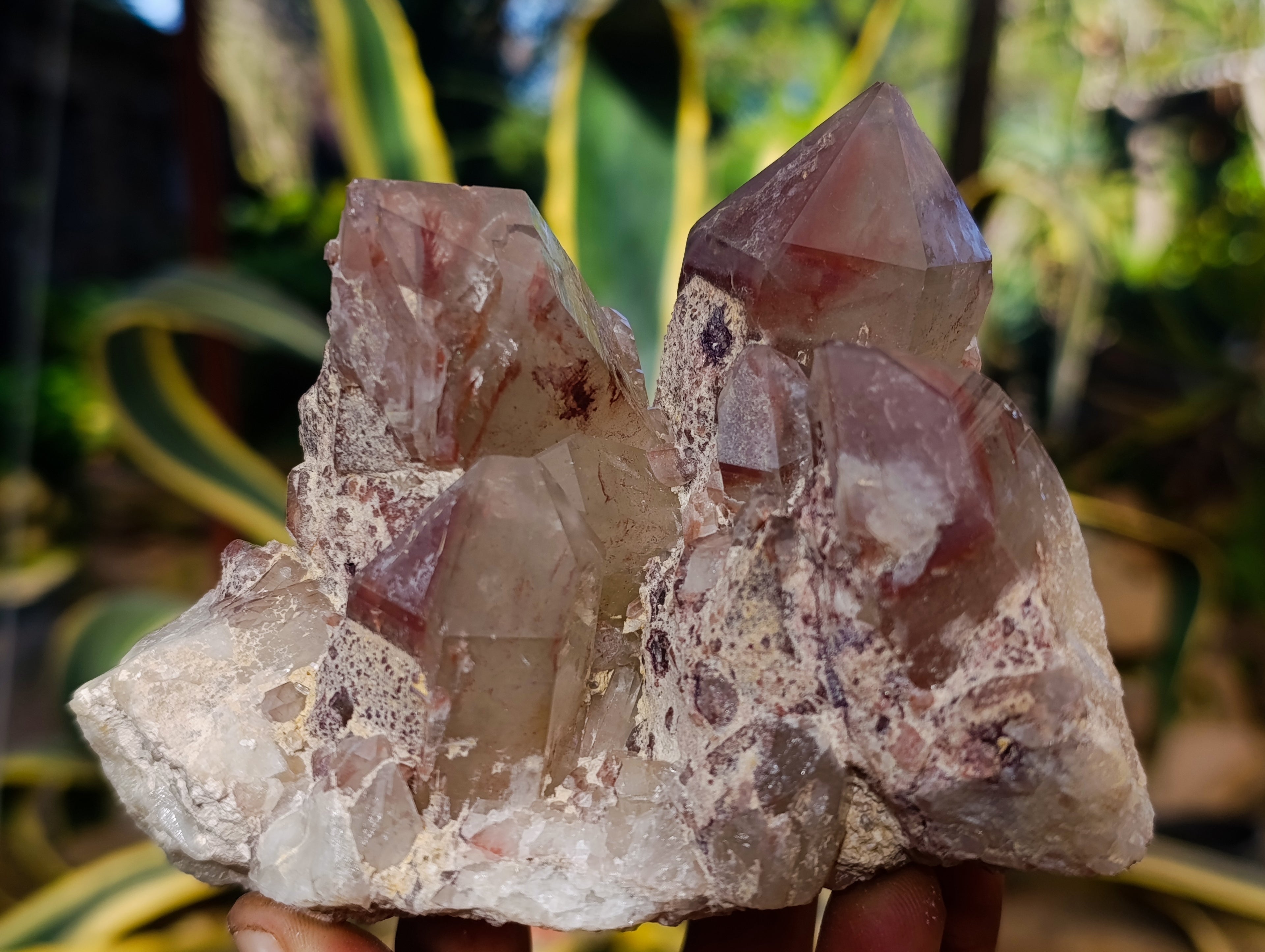 Natural Red Hematoid Quartz Clusters x 3 From Karoi, Zimbabwe - Toprock Gemstones and Minerals 
