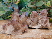 Natural Red Hematoid Quartz Clusters x 3 From Karoi, Zimbabwe
