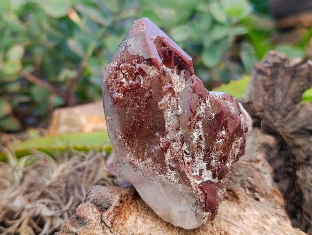 Natural Red Hematoid Quartz Clusters x 3 From Karoi, Zimbabwe - Toprock Gemstones and Minerals 