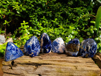 Polished Sodalite Standing Free Forms x 6 From Kunene River, Namibia - Toprock Gemstones and Minerals 
