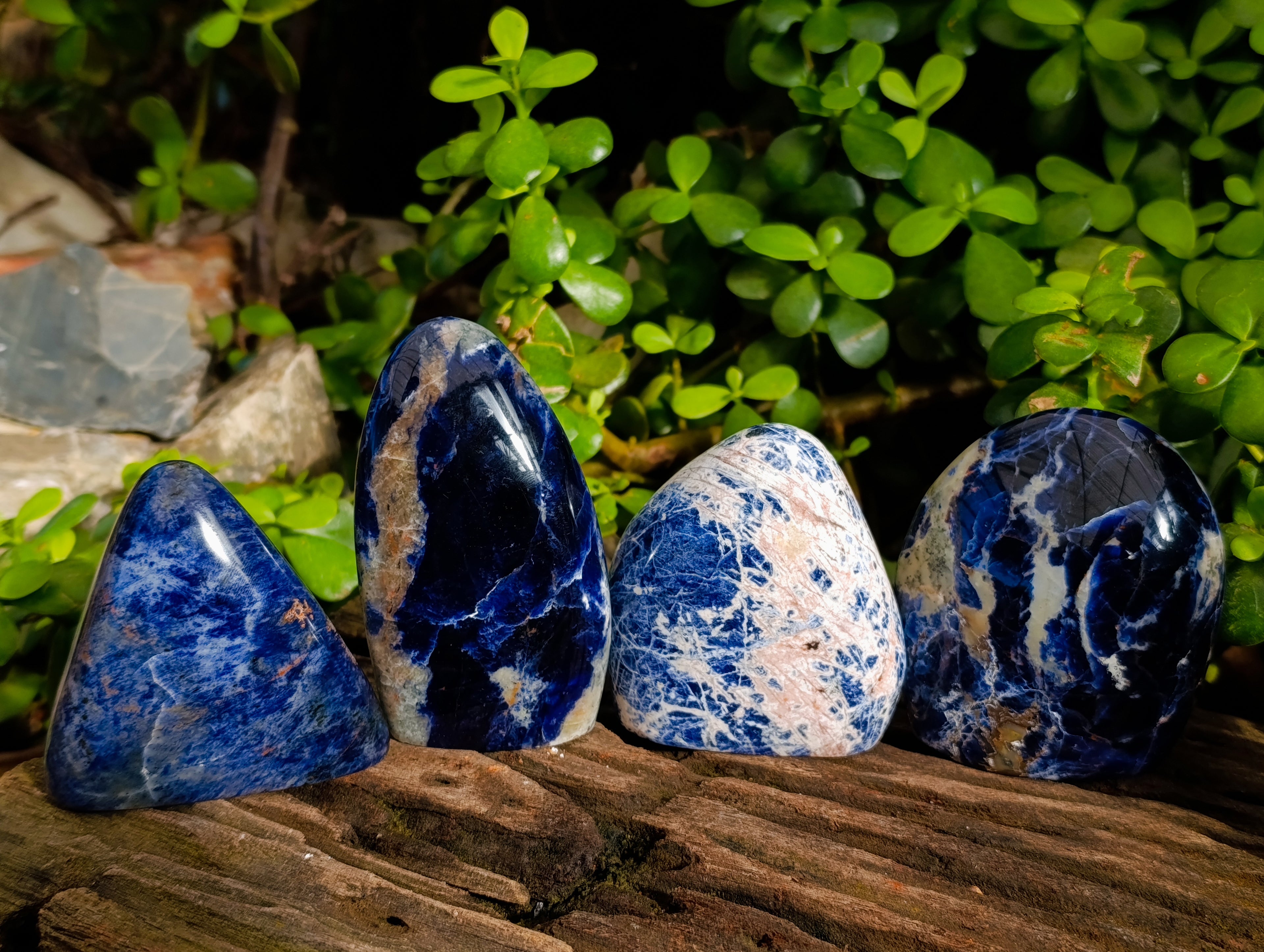 Polished Sodalite Standing Free Forms x 6 From Kunene River, Namibia - Toprock Gemstones and Minerals 