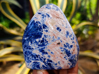 Polished Sodalite Standing Free Forms x 6 From Kunene River, Namibia - Toprock Gemstones and Minerals 
