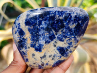 Polished Sodalite Standing Free Forms x 6 From Kunene River, Namibia - Toprock Gemstones and Minerals 