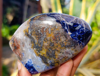 Polished Sodalite Standing Free Forms x 6 From Kunene River, Namibia - Toprock Gemstones and Minerals 