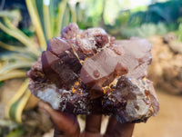 Natural Red Hematoid Quartz Clusters x 3 From Karoi, Zimbabwe