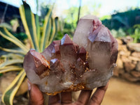 Natural Red Hematoid Quartz Clusters x 3 From Karoi, Zimbabwe
