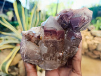 Natural Red Hematoid Quartz Clusters x 3 From Karoi, Zimbabwe