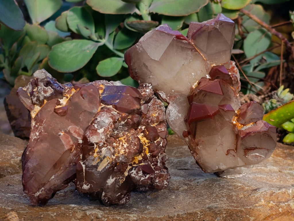 Natural Red Hematoid Quartz Clusters x 3 From Karoi, Zimbabwe - Toprock Gemstones and Minerals 