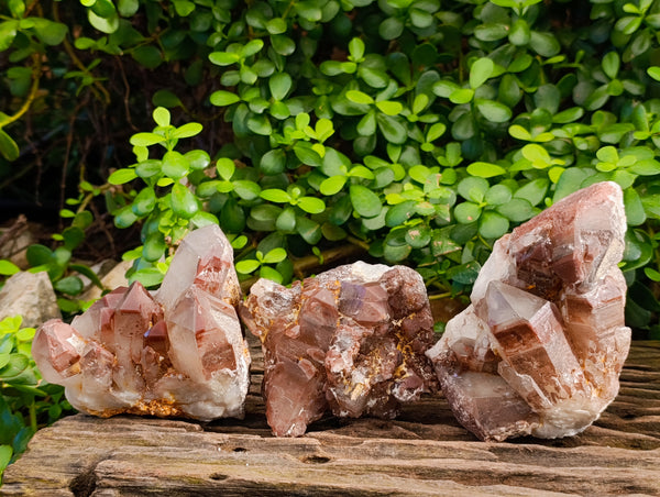 Natural Red Hematoid Quartz Clusters x 3 From Karoi, Zimbabwe