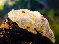 Natural Schorl Black Tourmaline with Hyalite Opal and Green Fluorite x 2 From Erongo, Namibia - Toprock Gemstones and Minerals 