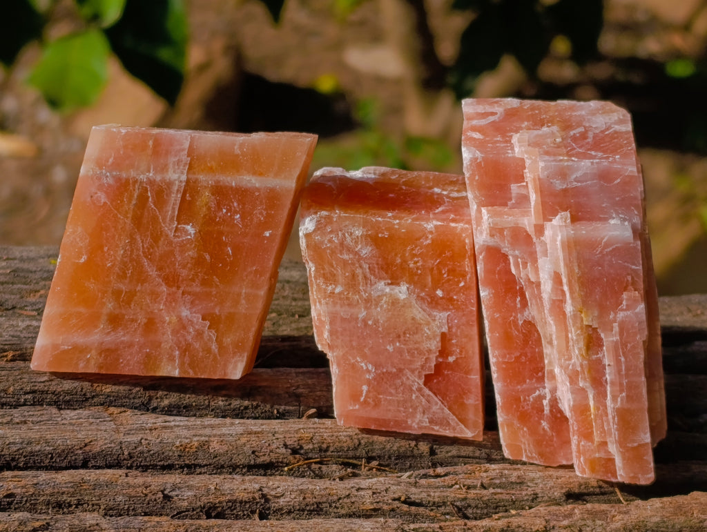 Natural Rhombohedral Sunset Orange Calcite Specimens x 24 From Spitzkop, Namibia - Toprock Gemstones and Minerals 