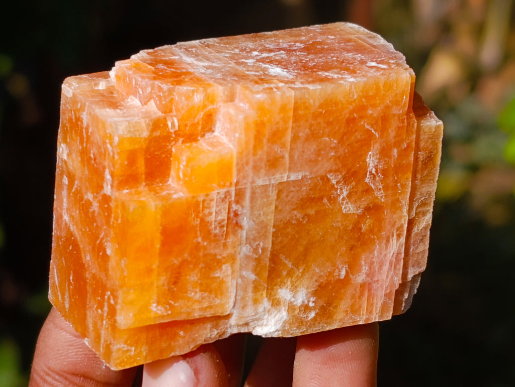Natural Rhombohedral Sunset Orange Calcite Specimens x 24 From Spitzkop, Namibia - Toprock Gemstones and Minerals 