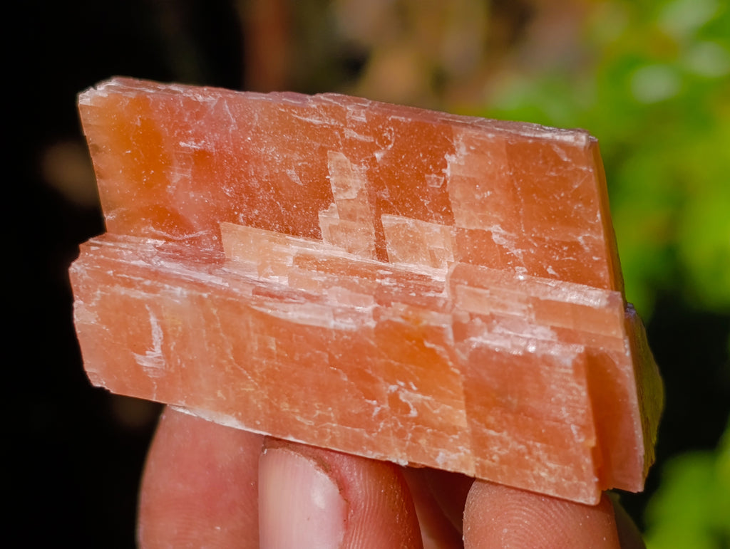 Natural Rhombohedral Sunset Orange Calcite Specimens x 24 From Spitzkop, Namibia - Toprock Gemstones and Minerals 