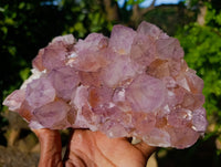 Natural Sunburst Amethyst Spirit Quartz Clusters x 2 From South Africa - Toprock Gemstones and Minerals 