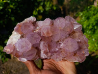 Natural Sunburst Amethyst Spirit Quartz Clusters x 2 From South Africa - Toprock Gemstones and Minerals 