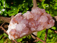 Natural Sunburst Amethyst Spirit Quartz Clusters x 2 From South Africa - Toprock Gemstones and Minerals 