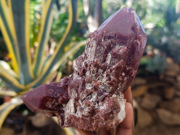 Natural Red Hematoid Quartz Clusters x 3 From Karoi, Zimbabwe