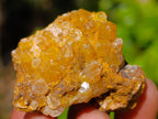 Natural Purple Amethyst and Golden Limonite Single Quartz Crystals x 3.19 Kg Lot From Zambia - Toprock Gemstones and Minerals 