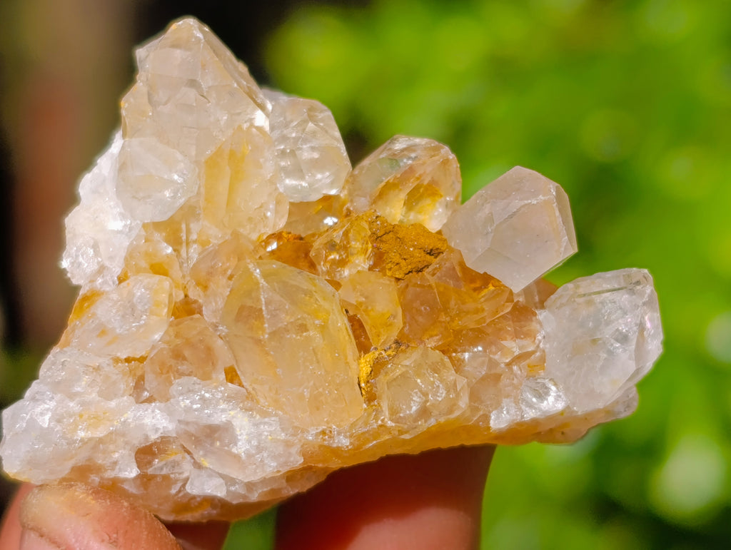 Natural Purple Amethyst and Golden Limonite Single Quartz Crystals x 3.19 Kg Lot From Zambia - Toprock Gemstones and Minerals 