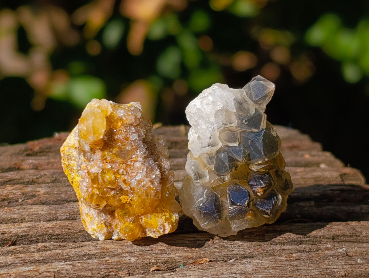 Natural Purple Amethyst and Golden Limonite Single Quartz Crystals x 3.19 Kg Lot From Zambia - Toprock Gemstones and Minerals 