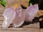 Natural Purple Amethyst and Golden Limonite Single Quartz Crystals x 3.19 Kg Lot From Zambia - Toprock Gemstones and Minerals 