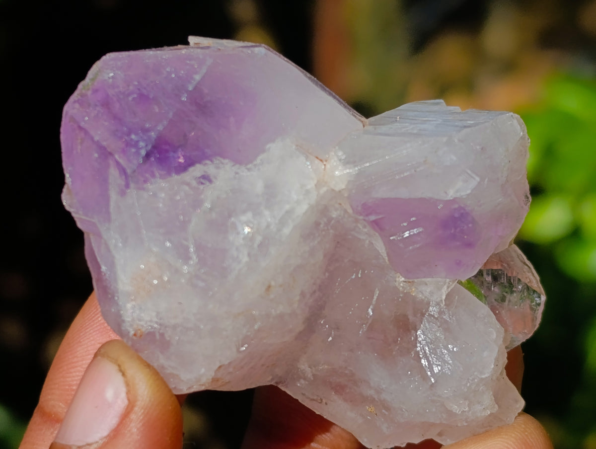 Natural Purple Amethyst and Golden Limonite Single Quartz Crystals x 3.19 Kg Lot From Zambia - Toprock Gemstones and Minerals 