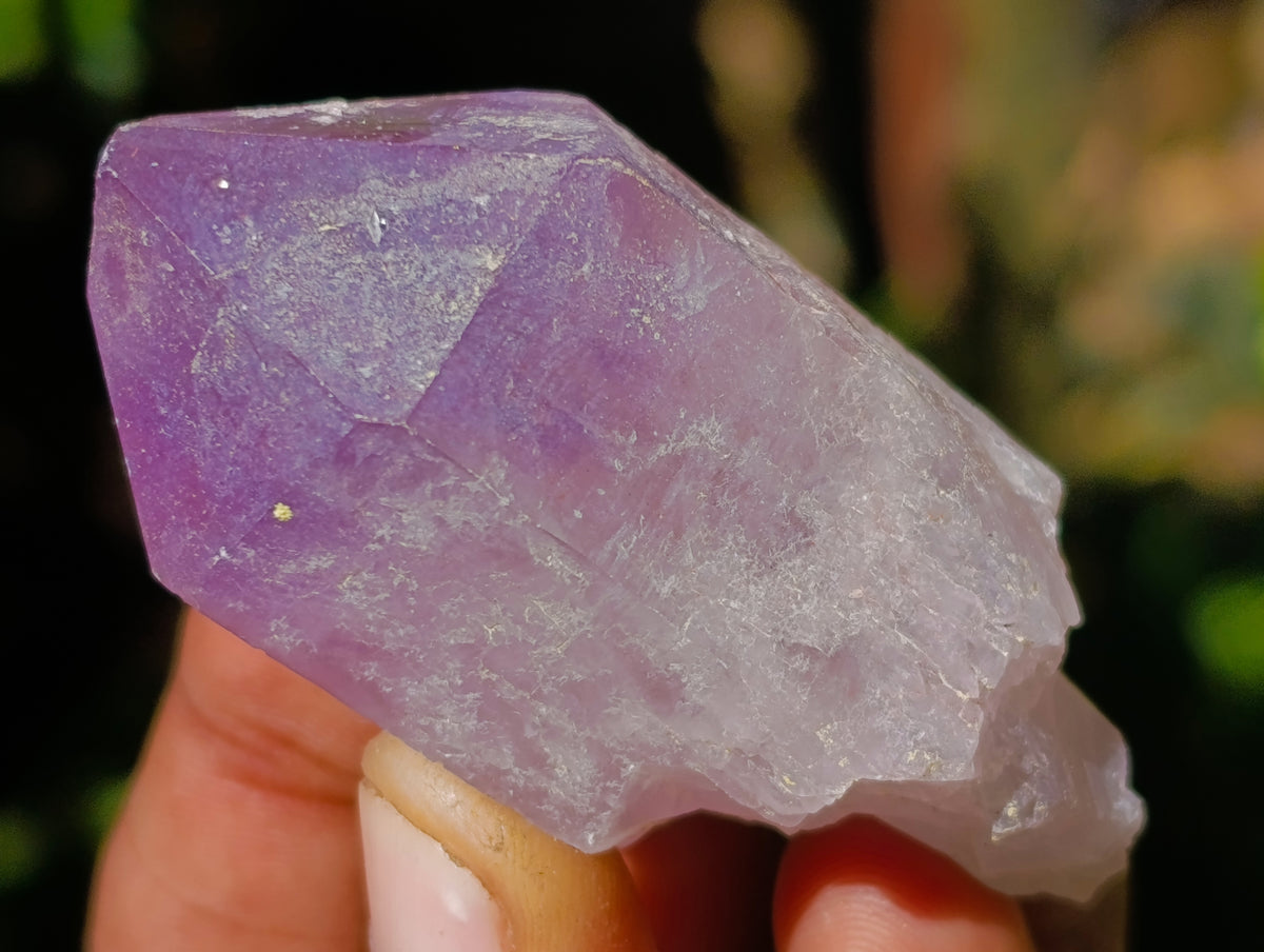 Natural Purple Amethyst and Golden Limonite Single Quartz Crystals x 3.19 Kg Lot From Zambia - Toprock Gemstones and Minerals 