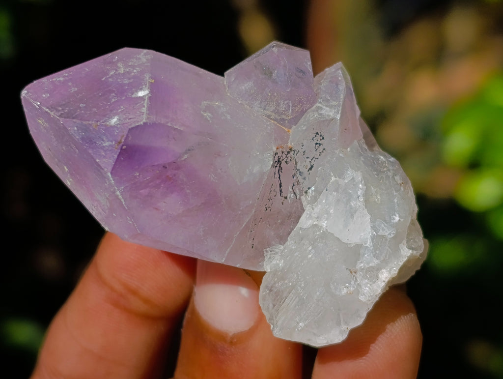 Natural Purple Amethyst and Golden Limonite Single Quartz Crystals x 3.19 Kg Lot From Zambia - Toprock Gemstones and Minerals 