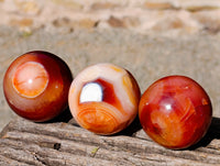 Polished Carnelian Agate Spheres x 7 From Madagascar