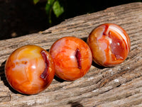 Polished Carnelian Agate Spheres x 7 From Madagascar