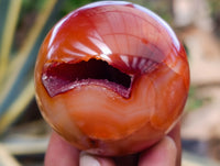 Polished Carnelian Agate Spheres x 7 From Madagascar