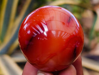 Polished Carnelian Agate Spheres x 7 From Madagascar
