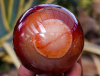 Polished Carnelian Agate Spheres x 7 From Madagascar